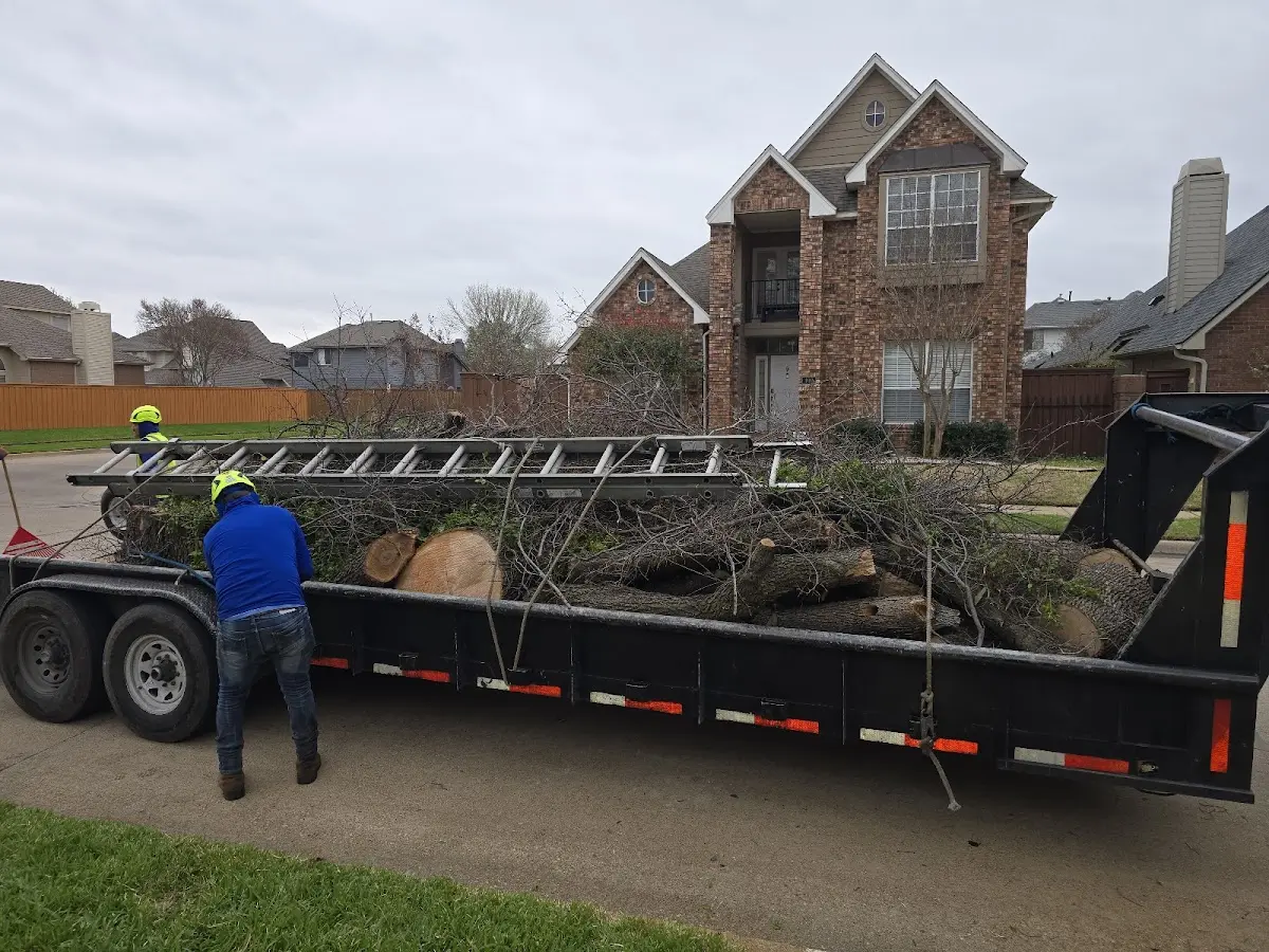 Expert Tree Removal with proper safety equipment in New Market